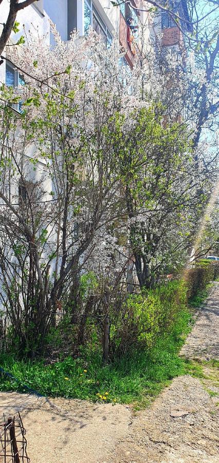 Nordapartament Sučava Exteriér fotografie